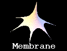 [Membrane]