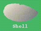 [Shell]